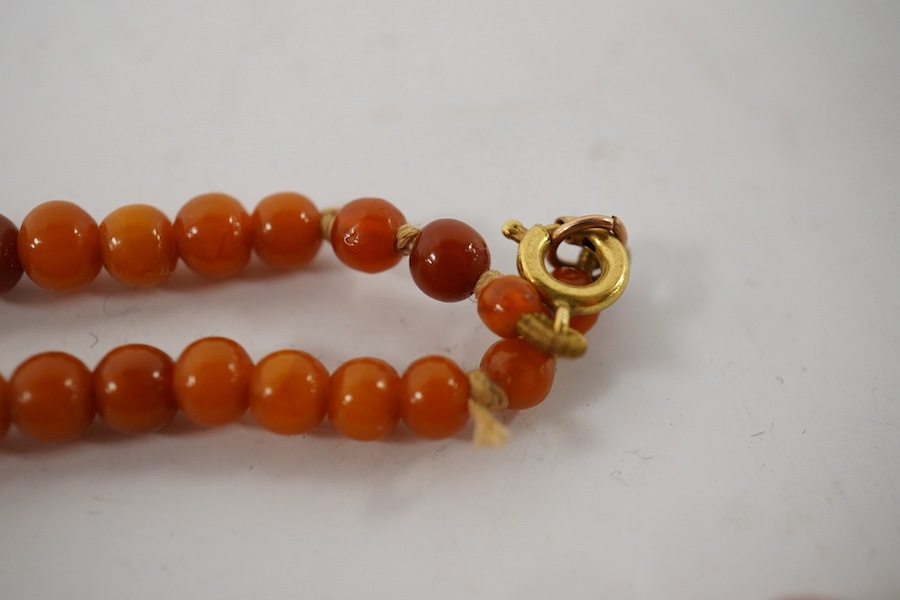 An amber bead necklace, composed of graduated amber beads measuring approximately 15.7-3.6mm, length 58cm, gross weight 23 grams. Condition: overall good, some minor crazing, some minor wear, commensurate with age